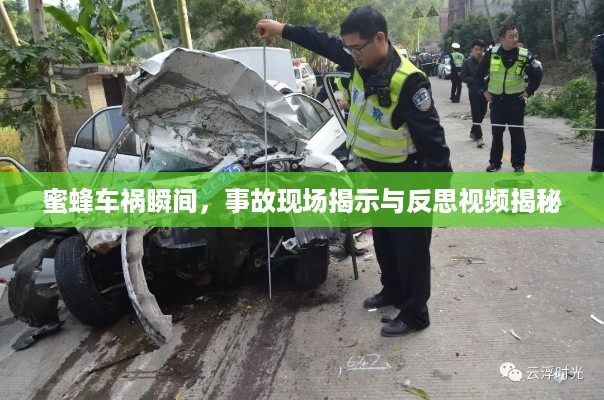 蜜蜂车祸瞬间，事故现场揭示与反思视频揭秘