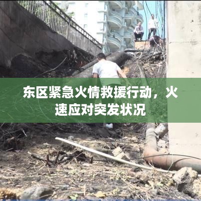 东区紧急火情救援行动，火速应对突发状况