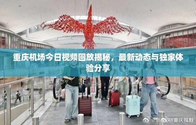 重庆机场今日视频回放揭秘，最新动态与独家体验分享