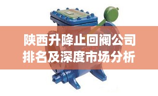 陕西升降止回阀公司排名及深度市场分析