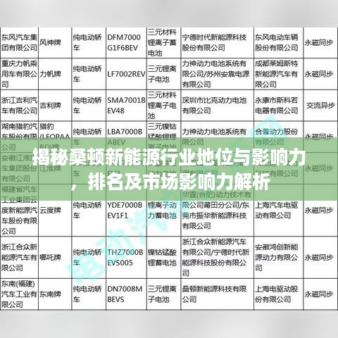 揭秘桑顿新能源行业地位与影响力，排名及市场影响力解析