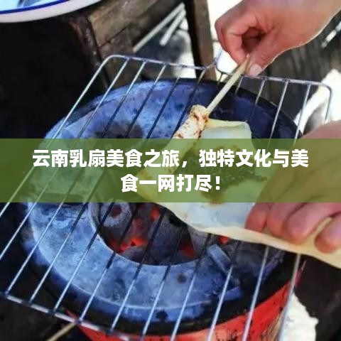 云南乳扇美食之旅，独特文化与美食一网打尽！