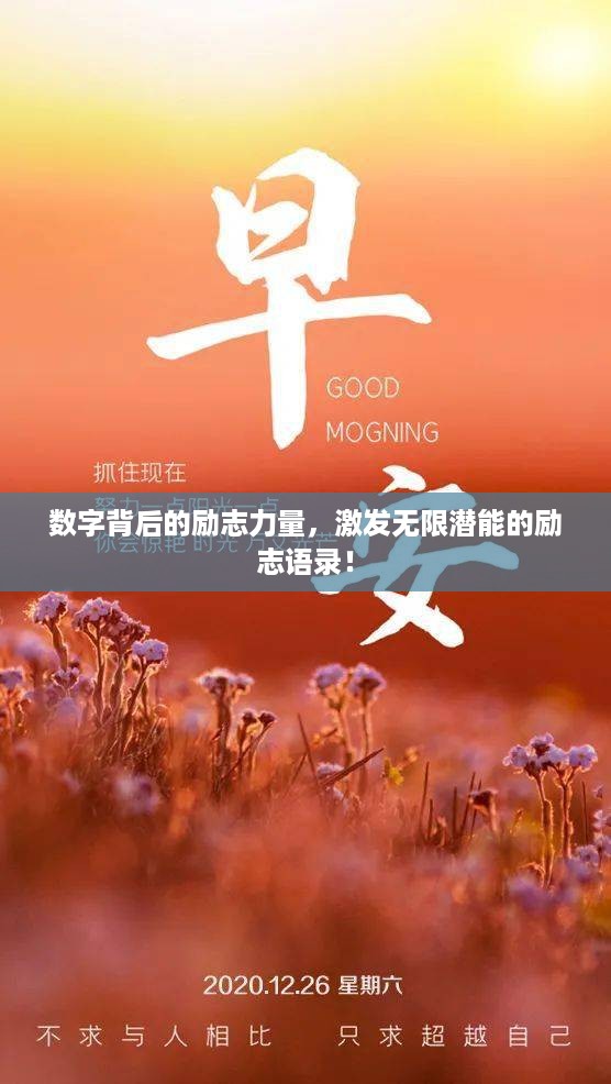 数字背后的励志力量，激发无限潜能的励志语录！