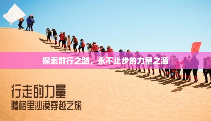 探索前行之路，永不止步的力量之源
