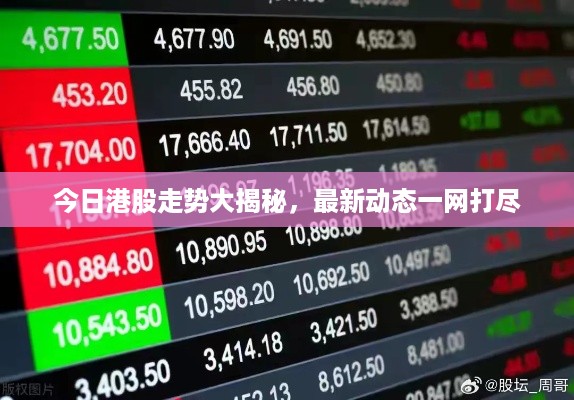 今日港股走势大揭秘，最新动态一网打尽