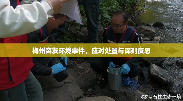取证 第8页
