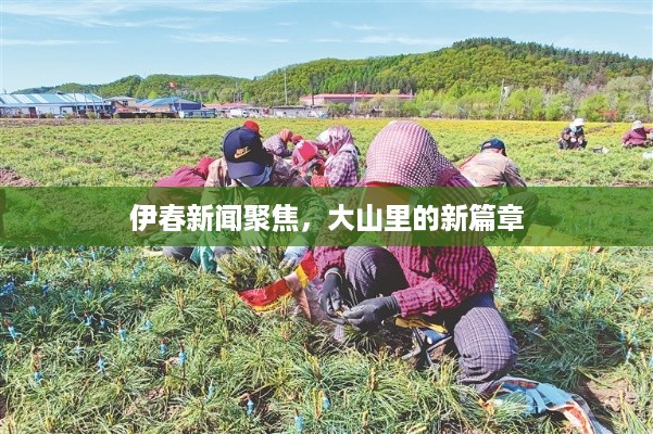 伊春新闻聚焦，大山里的新篇章