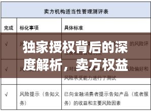 独家授权背后的深度解析，卖方权益揭秘