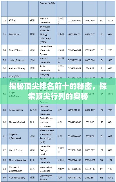 揭秘顶尖排名前十的秘密，探索顶尖行列的奥秘