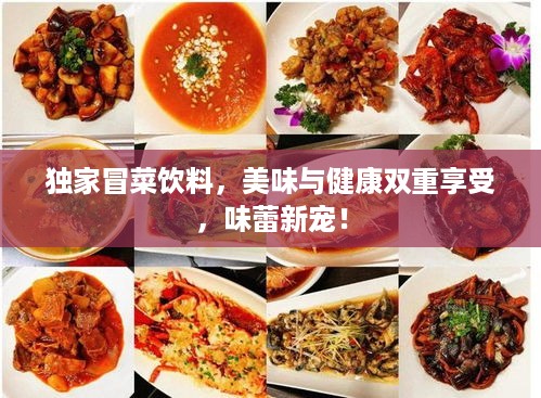 独家冒菜饮料，美味与健康双重享受，味蕾新宠！