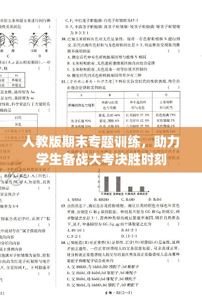 人教版期末专题训练，助力学生备战大考决胜时刻