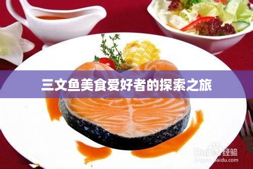 三文鱼美食爱好者的探索之旅