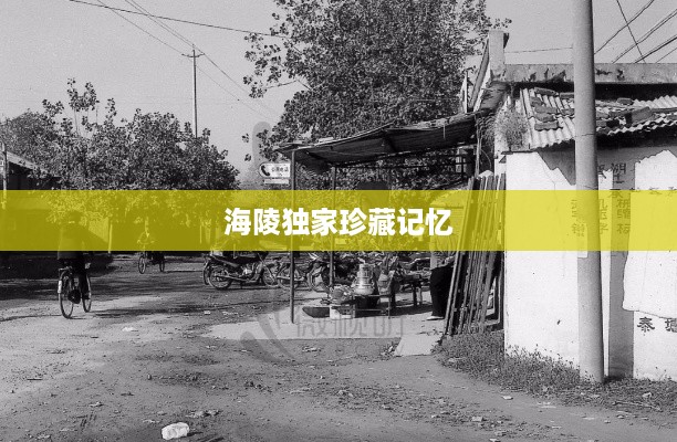 海陵独家珍藏记忆