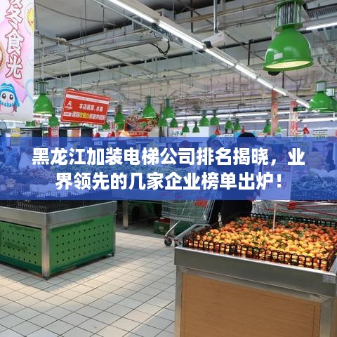 黑龙江加装电梯公司排名揭晓，业界领先的几家企业榜单出炉！