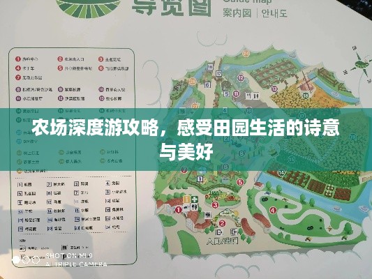 农场深度游攻略，感受田园生活的诗意与美好