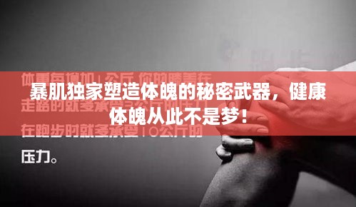 暴肌独家塑造体魄的秘密武器，健康体魄从此不是梦！