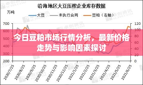 今日豆粕市场行情分析，最新价格走势与影响因素探讨