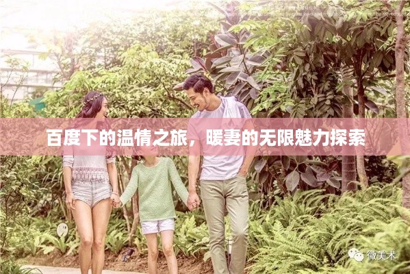 百度下的温情之旅，暖妻的无限魅力探索