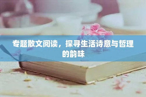 专题散文阅读，探寻生活诗意与哲理的韵味