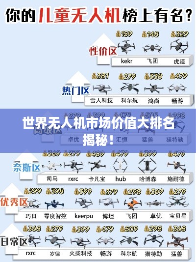 世界无人机市场价值大排名揭秘！