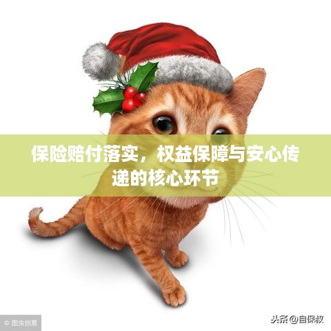 保险赔付落实，权益保障与安心传递的核心环节