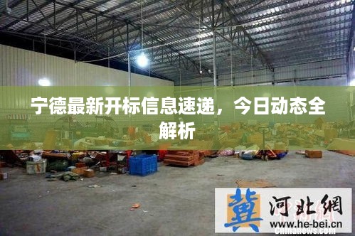 宁德最新开标信息速递，今日动态全解析