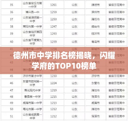 德州市中学排名榜揭晓，闪耀学府的TOP10榜单