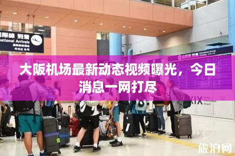 大阪机场最新动态视频曝光，今日消息一网打尽