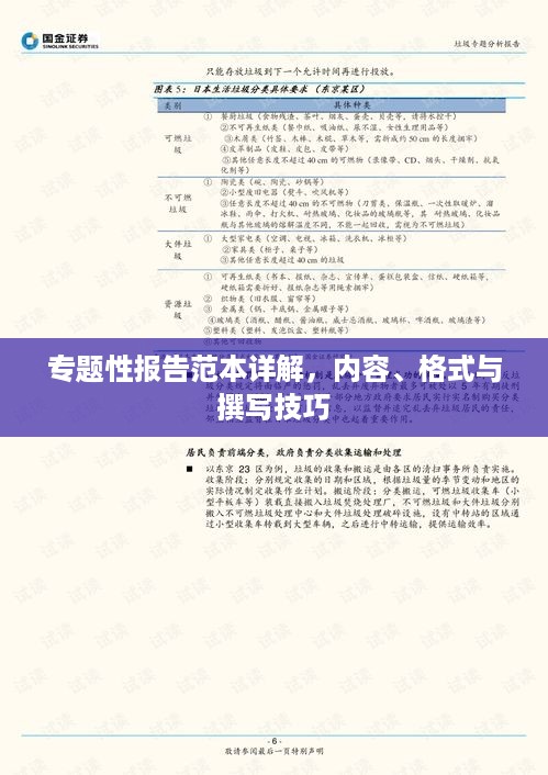 专题性报告范本详解，内容、格式与撰写技巧