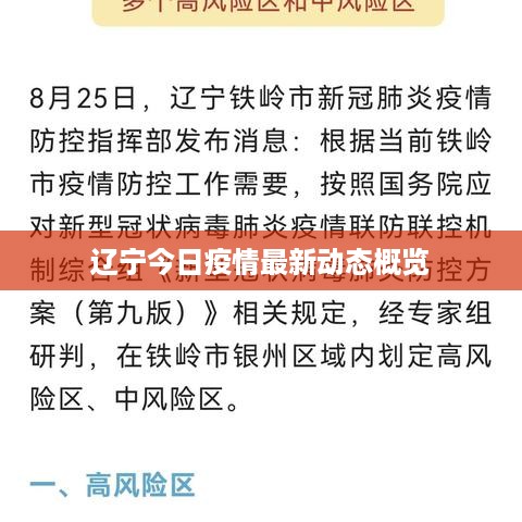 辽宁今日疫情最新动态概览