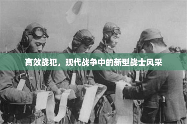 高效战犯，现代战争中的新型战士风采