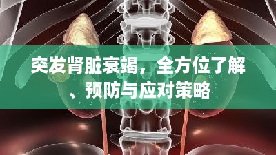 突发肾脏衰竭，全方位了解、预防与应对策略