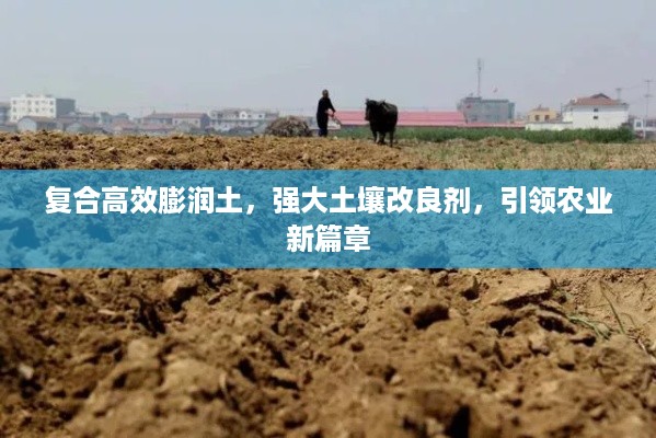 复合高效膨润土，强大土壤改良剂，引领农业新篇章