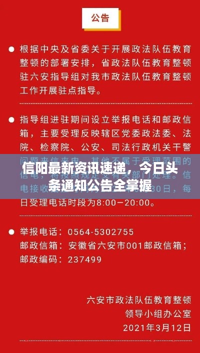 信阳最新资讯速递，今日头条通知公告全掌握