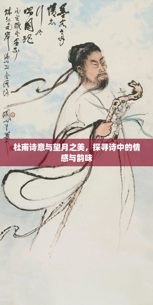 杜甫诗意与望月之美，探寻诗中的情感与韵味