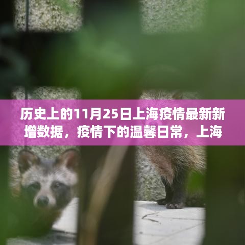 肝胆相照 第8页