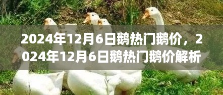 jinxinjinli 第7页