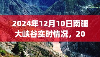 jinshanjinmei 第6页