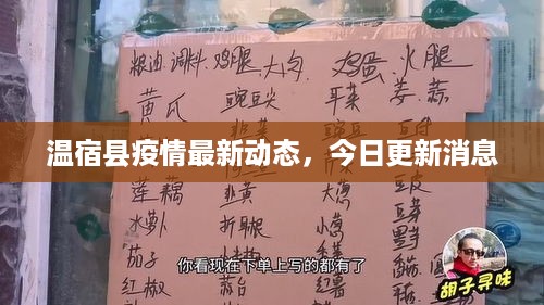 温宿县疫情最新动态，今日更新消息