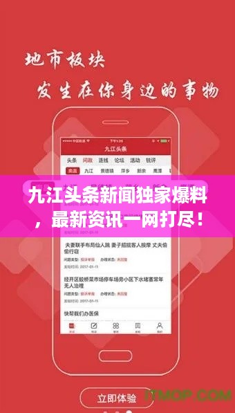 乌鸟之情