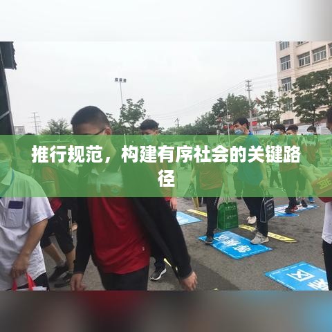 绝代佳人