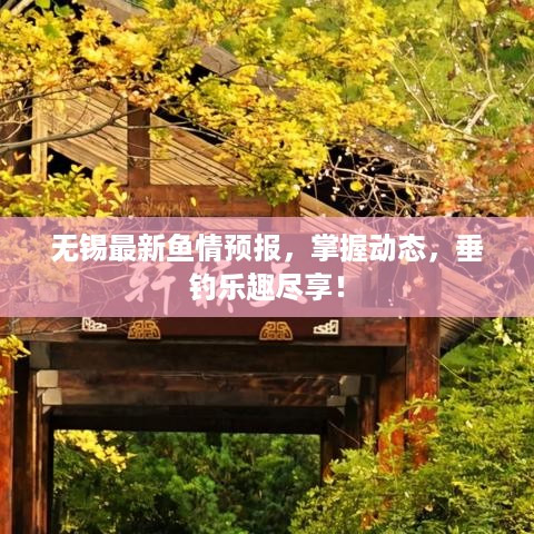 无锡最新鱼情预报，掌握动态，垂钓乐趣尽享！