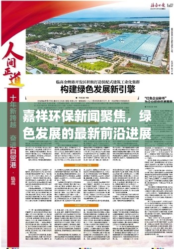 花开无言