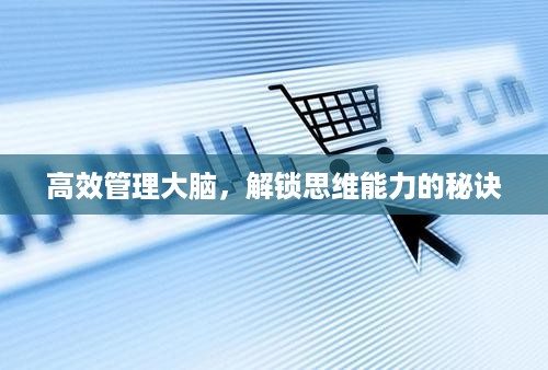 高效管理大脑，解锁思维能力的秘诀