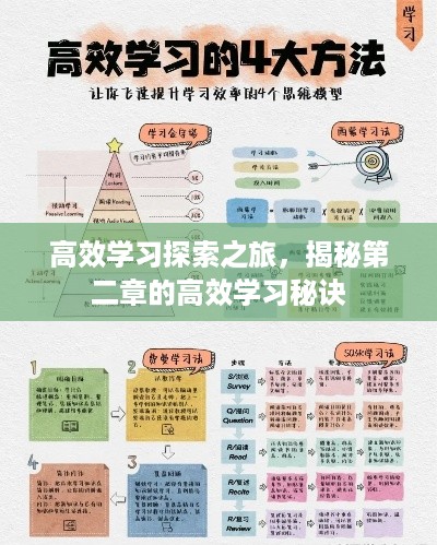 高效学习探索之旅，揭秘第二章的高效学习秘诀