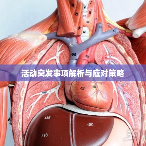 活动突发事项解析与应对策略