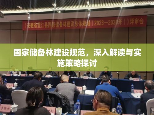 国家储备林建设规范，深入解读与实施策略探讨