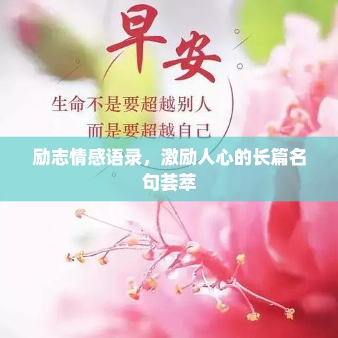 励志情感语录，激励人心的长篇名句荟萃