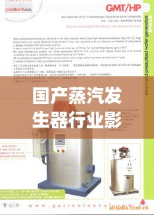 国产蒸汽发生器行业影响力排名大揭秘！