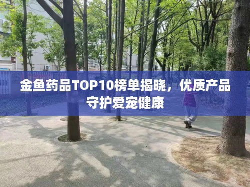 金鱼药品TOP10榜单揭晓，优质产品守护爱宠健康